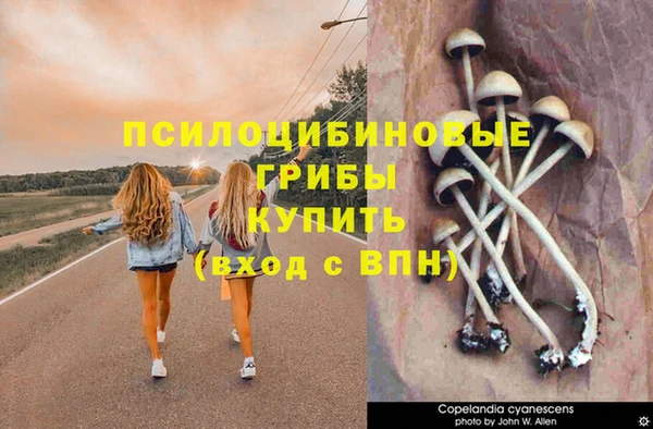 марихуана Вязьма