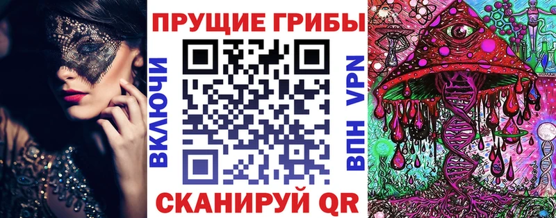 даркнет сайт Рубцовск Псилоцибиновые грибы Psilocybine cubensis